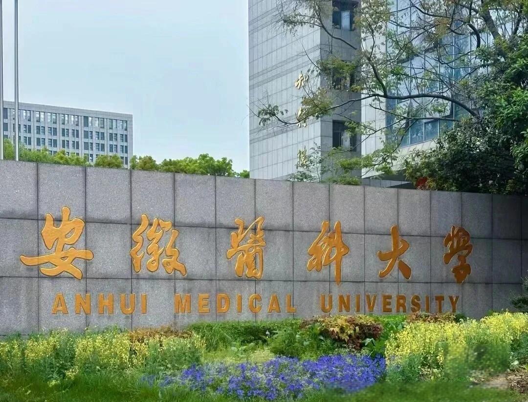 實(shí)力護(hù)航！熱烈祝賀我公司成功承接安徽醫(yī)科大學(xué)新醫(yī)科中心舞臺防火大幕項(xiàng)目